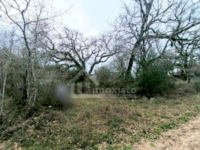 Terreno para Venda em Ansião Foto 3
