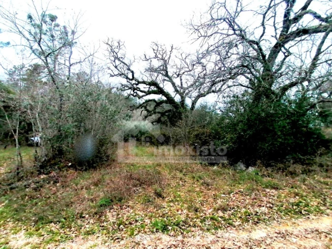 Terreno para Venda em Ansião Foto 5