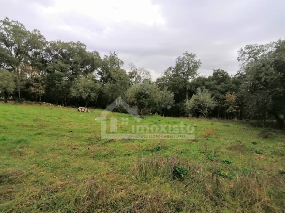Terreno Agricola ou Rústico para Venda em Santiago da Guarda Foto 2