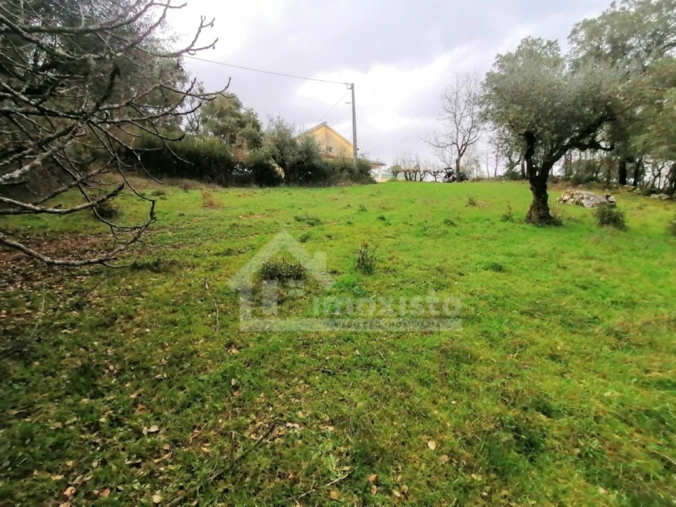 Terreno Agricola ou Rústico para Venda em Santiago da Guarda Foto 3