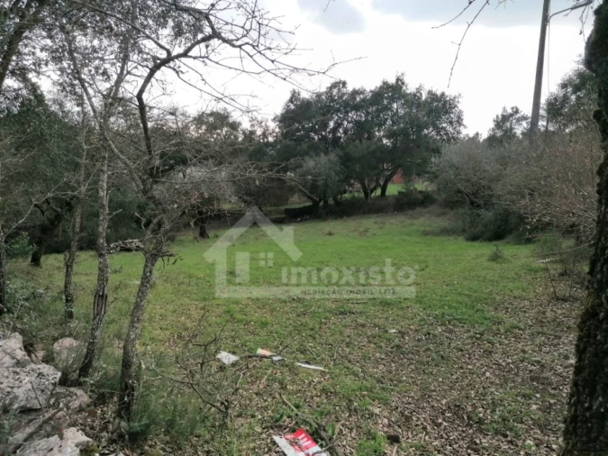 Terreno Agricola ou Rústico para Venda em Santiago da Guarda
