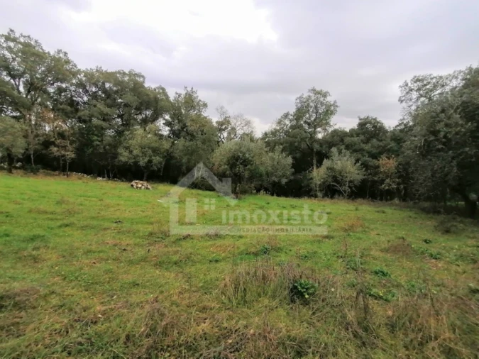 Terreno Agricola ou Rústico para Venda em Santiago da Guarda Foto 2