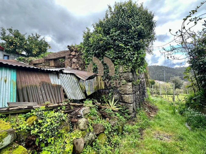 Moradia T3 para Venda em Sendim Foto 2