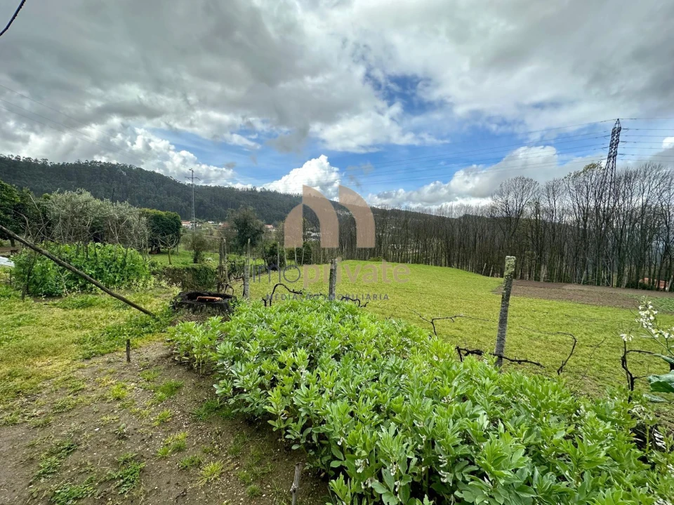 Moradia T3 para Venda em Sendim Foto 7