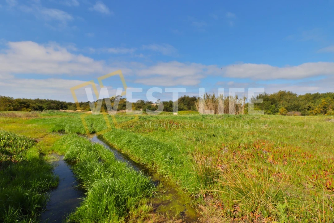 Terreno para Venda em Silveira Foto 1