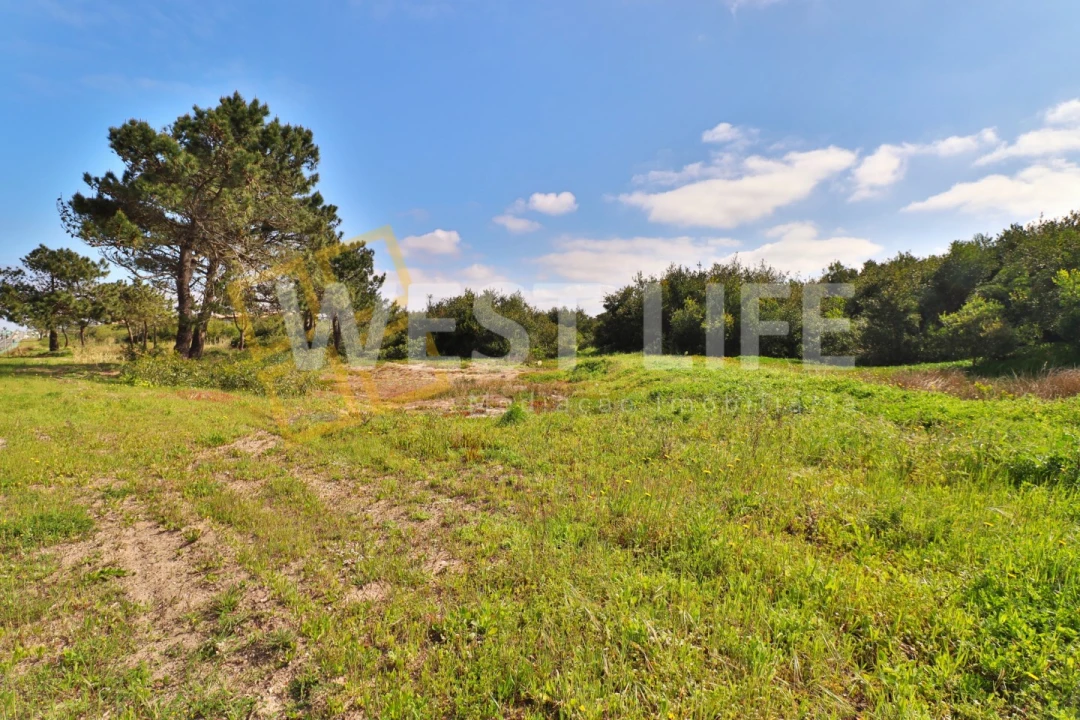 Terreno para Venda em Silveira Foto 2