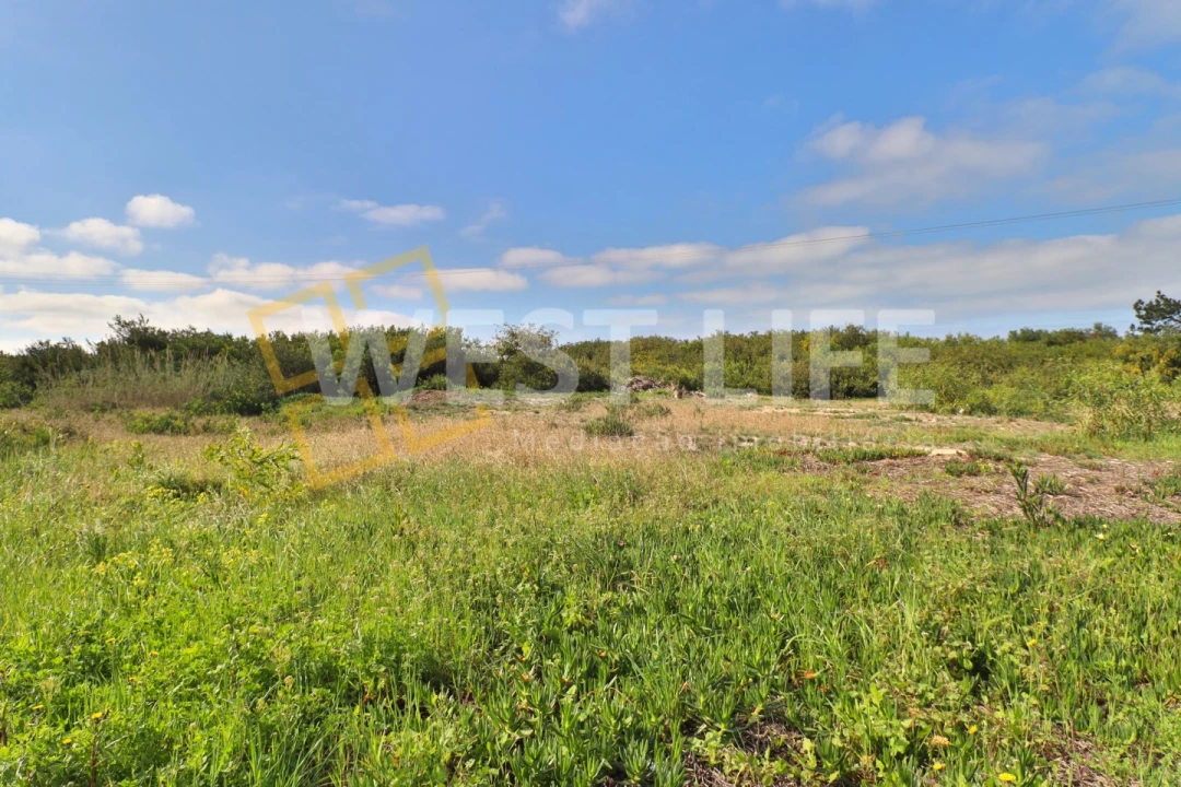 Terreno para Venda em Silveira Foto 4