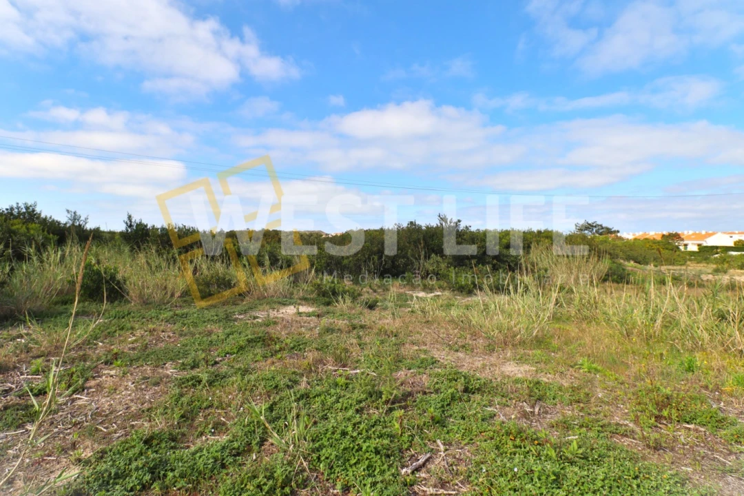 Terreno para Venda em Silveira Foto 8