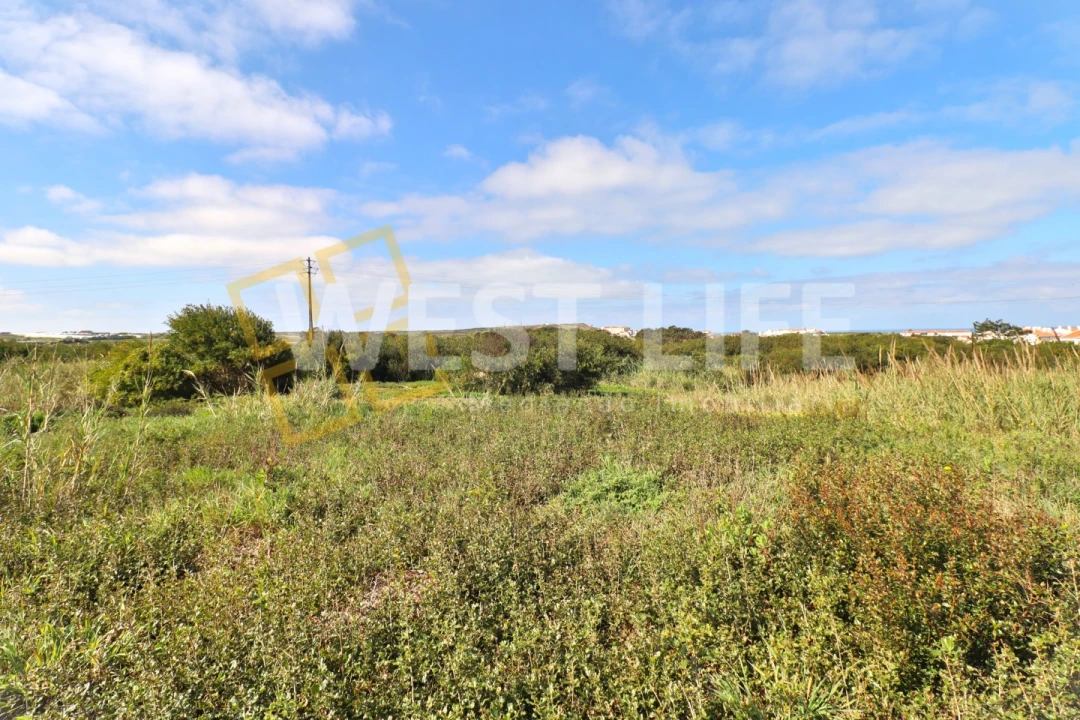 Terreno para Venda em Silveira Foto 9