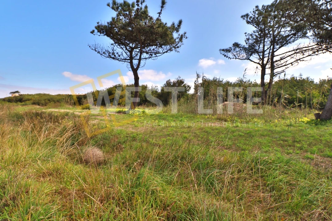 Terreno para Venda em Silveira Foto 13