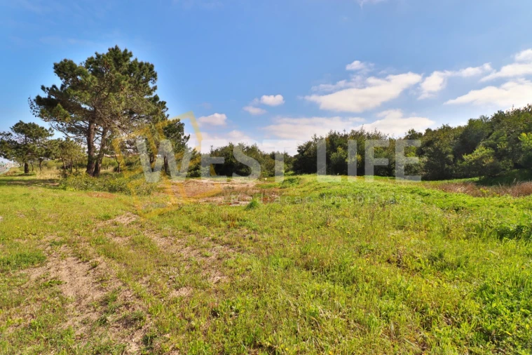 Terreno para Venda em Silveira Foto 2