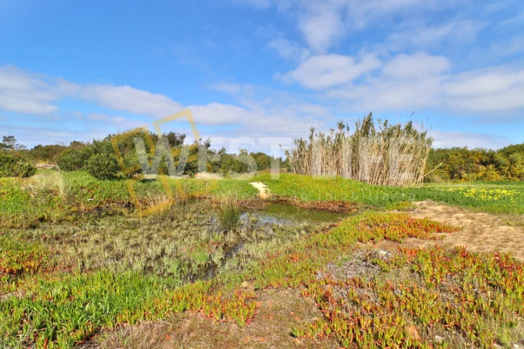 Terreno para Venda em Silveira Foto 3