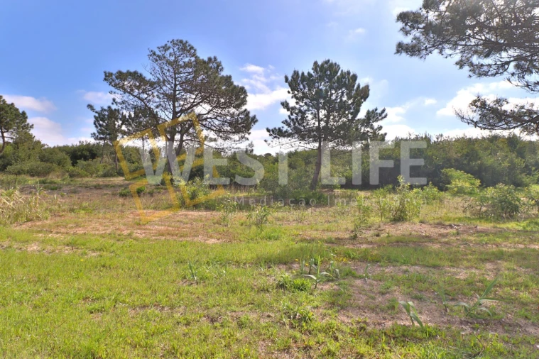 Terreno para Venda em Silveira Foto 5