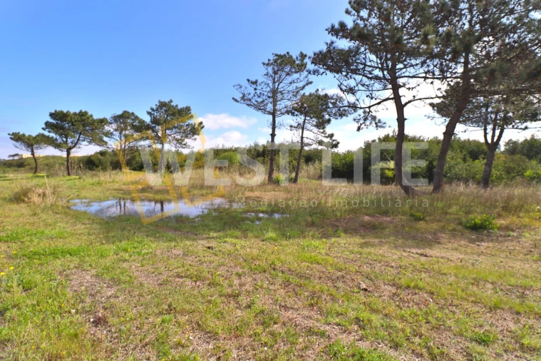 Terreno para Venda em Silveira Foto 6