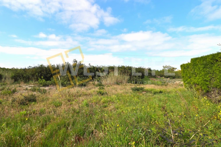 Terreno para Venda em Silveira Foto 7