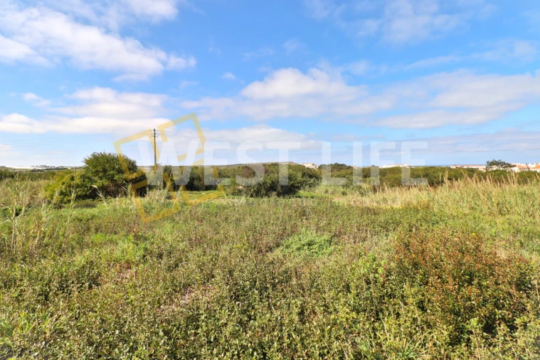 Terreno para Venda em Silveira Foto 9