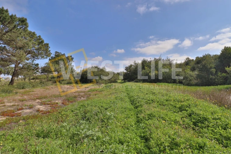 Terreno para Venda em Silveira Foto 10