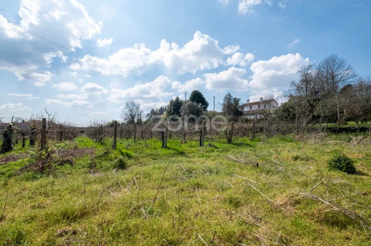 Quinta T7 para Venda em Paredes Foto 66