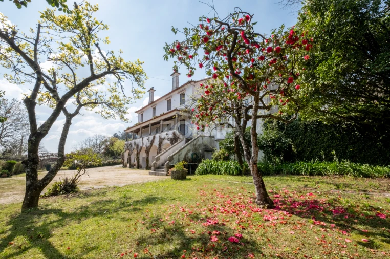 Quinta T7 para Venda em Paredes Foto 71