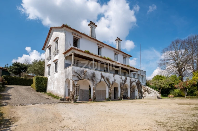 Quinta T7 para Venda em Paredes Foto 69