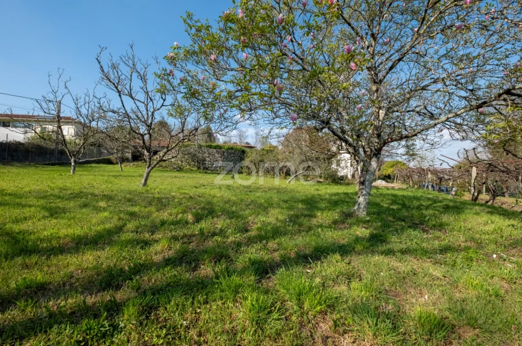 Quinta T7 para Venda em Paredes Foto 4