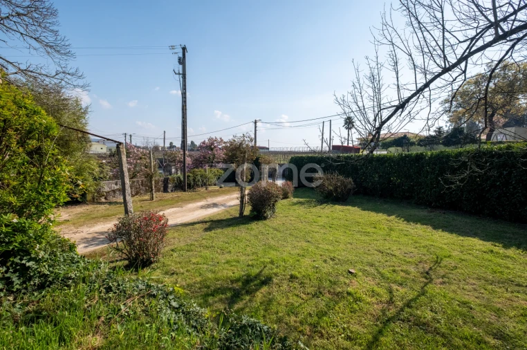 Quinta T7 para Venda em Paredes Foto 3