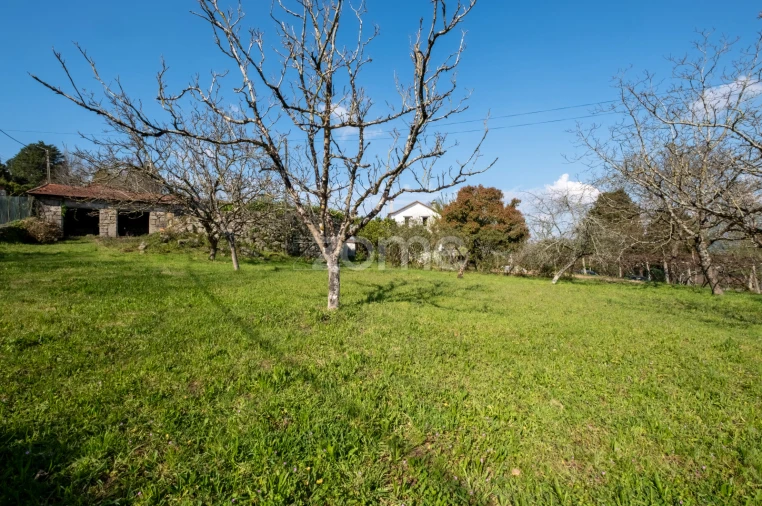 Quinta T7 para Venda em Paredes Foto 2