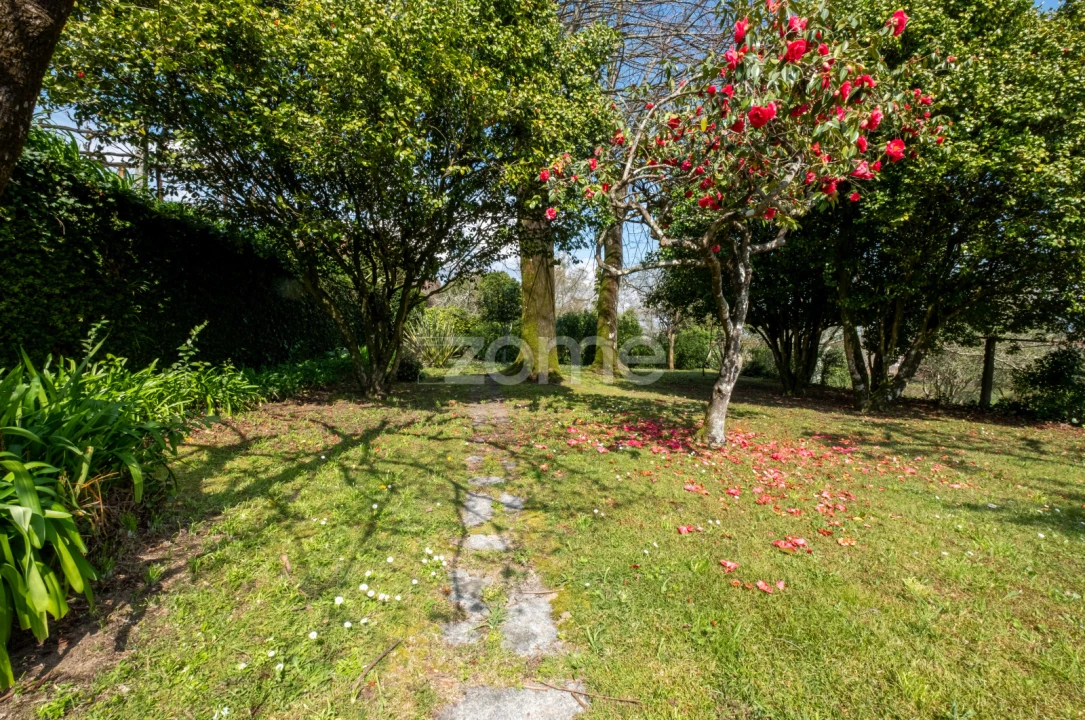 Quinta T7 para Venda em Paredes Foto 62