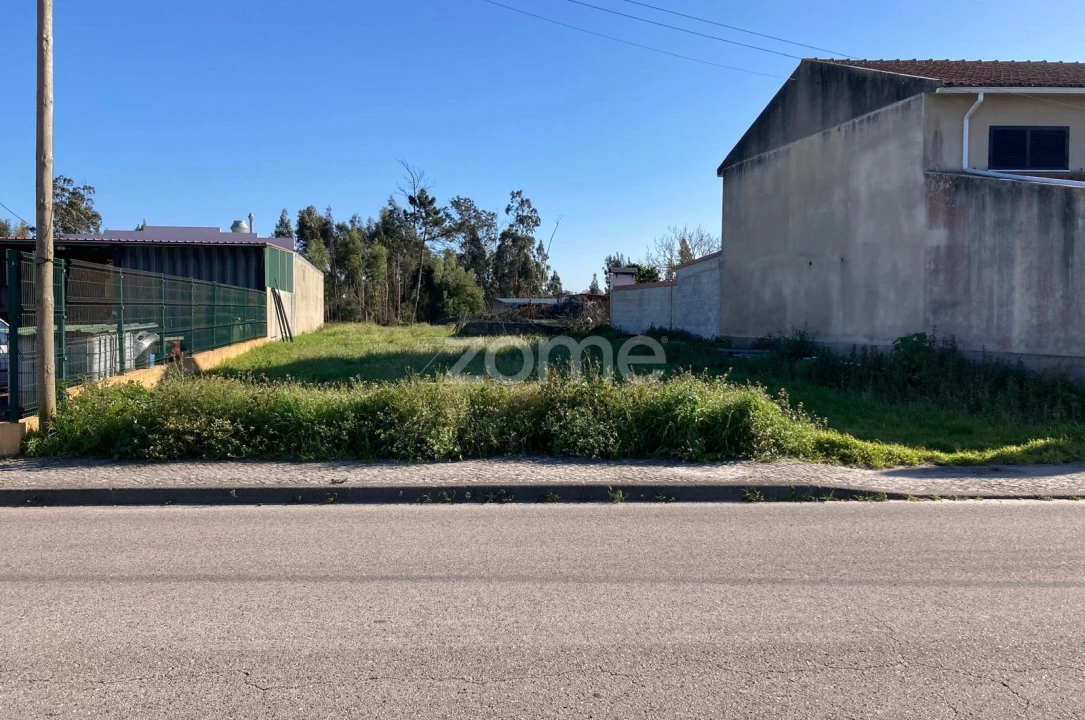 Terreno para Venda em Mira Foto 5