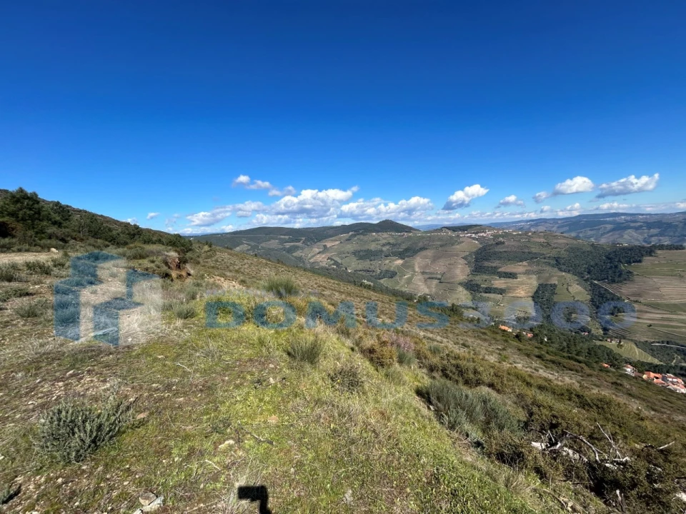 Terreno para Venda em Provesende, Gouvães Douro, São Cristóvão Douro Foto 5