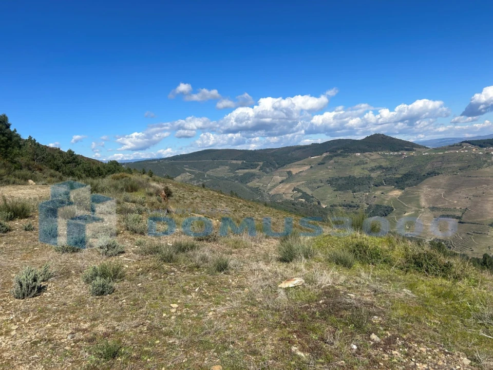 Terreno para Venda em Provesende, Gouvães Douro, São Cristóvão Douro Foto 6