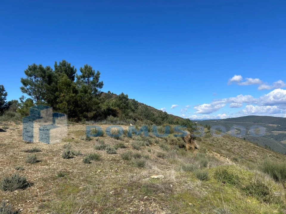 Terreno para Venda em Provesende, Gouvães Douro, São Cristóvão Douro Foto 8