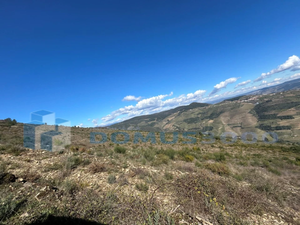 Terreno para Venda em Provesende, Gouvães Douro, São Cristóvão Douro Foto 9