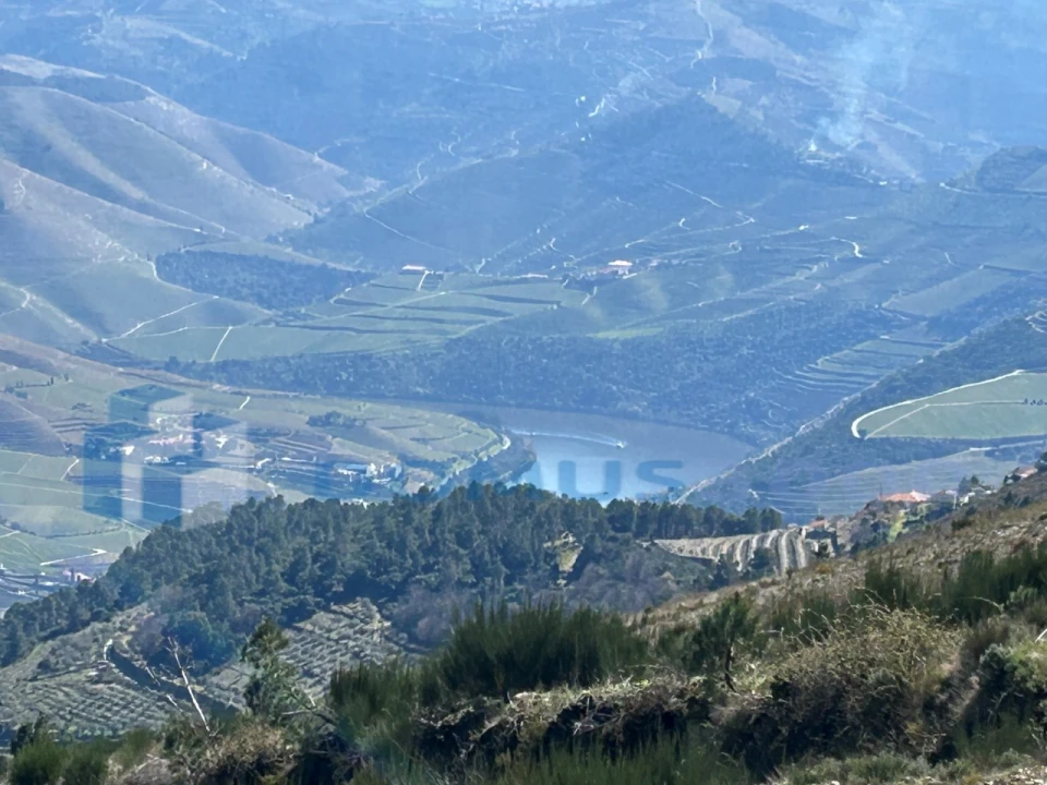 Terreno para Venda em Provesende, Gouvães Douro, São Cristóvão Douro Foto 11