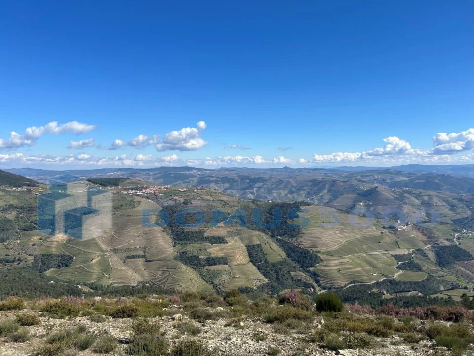 Terreno para Venda em Provesende, Gouvães Douro, São Cristóvão Douro Foto 12