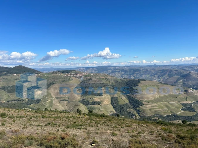 Terreno para Venda em Provesende, Gouvães Douro, São Cristóvão Douro Foto 3