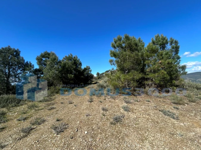 Terreno para Venda em Provesende, Gouvães Douro, São Cristóvão Douro Foto 4