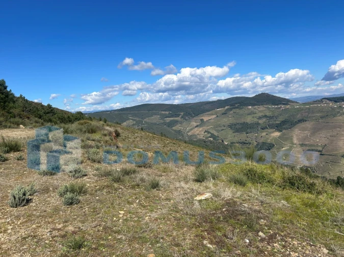 Terreno para Venda em Provesende, Gouvães Douro, São Cristóvão Douro Foto 6
