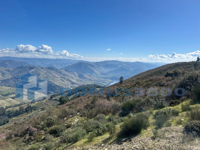 Terreno para Venda em Provesende, Gouvães Douro, São Cristóvão Douro Foto 7