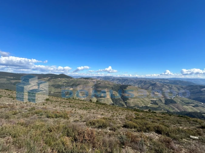 Terreno para Venda em Provesende, Gouvães Douro, São Cristóvão Douro Foto 10