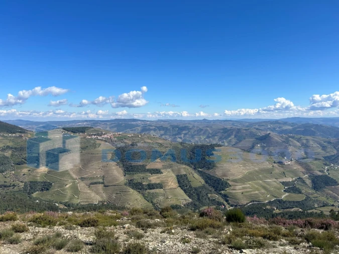 Terreno para Venda em Provesende, Gouvães Douro, São Cristóvão Douro Foto 12