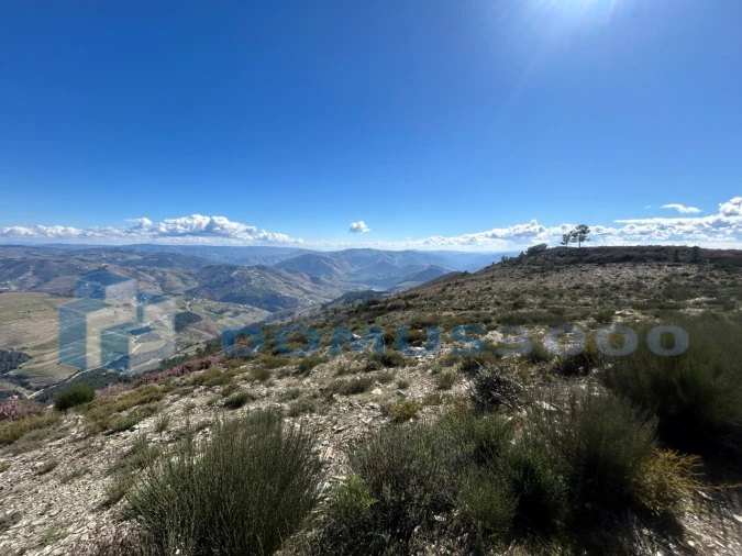 Terreno para Venda em Provesende, Gouvães Douro, São Cristóvão Douro Foto 13