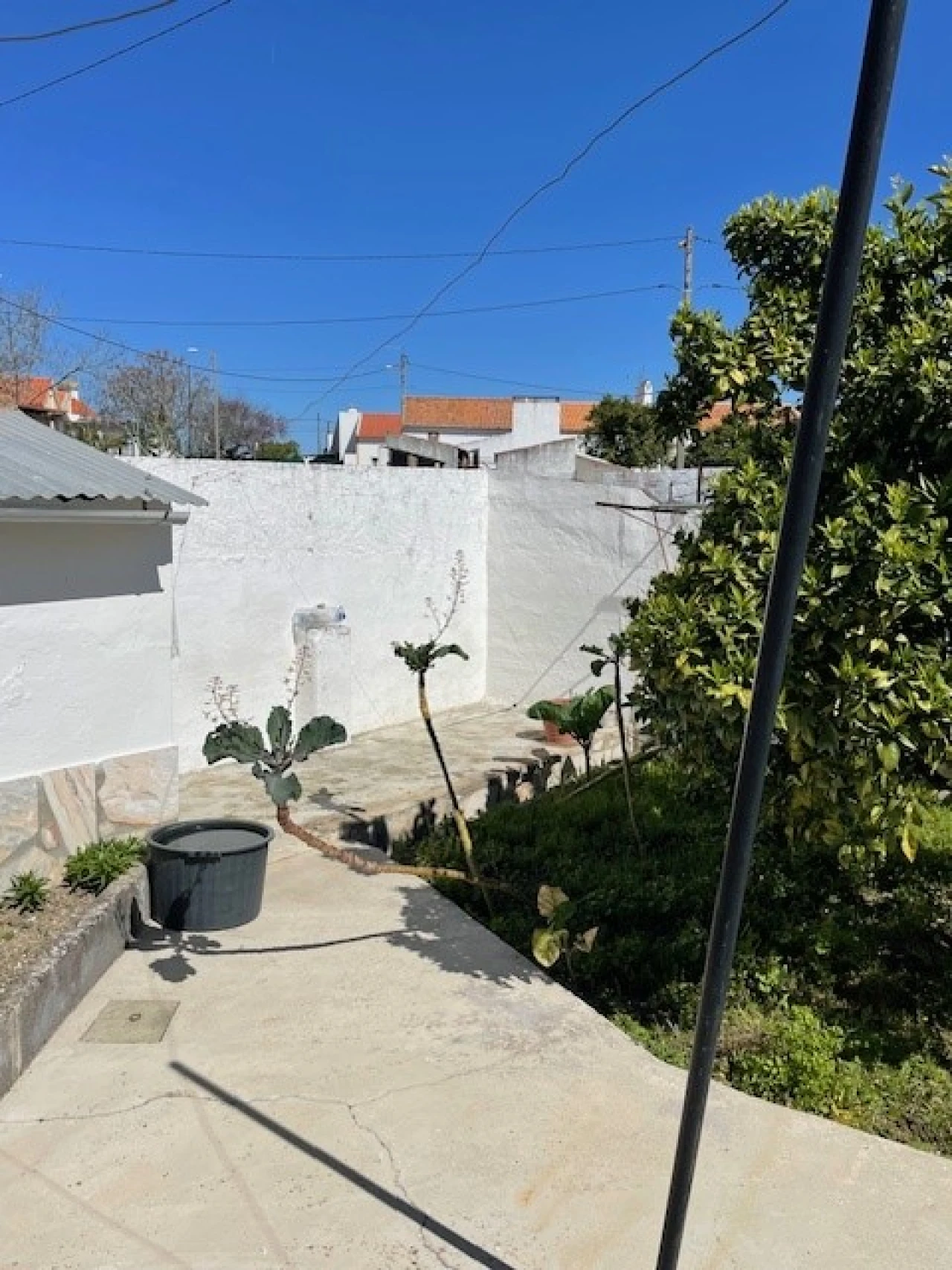 Quinta T2 para Venda em Ponte de Sor, Tramaga e Vale de Açor Foto 20