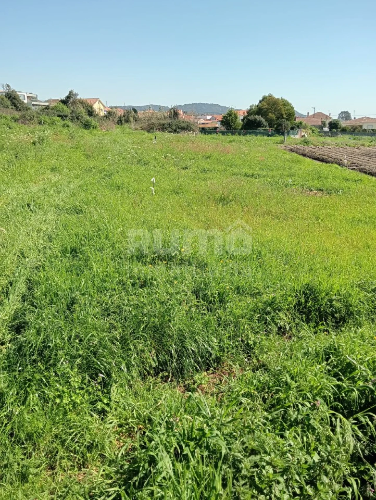 Terreno para Venda em Castelo do Neiva Foto 3