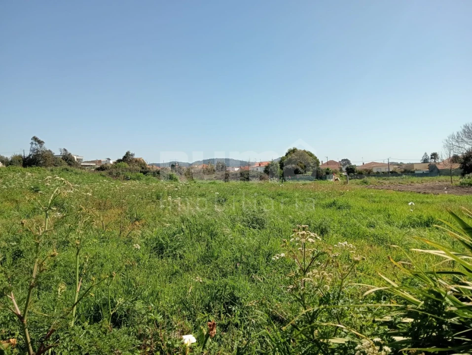 Terreno para Venda em Castelo do Neiva Foto 5