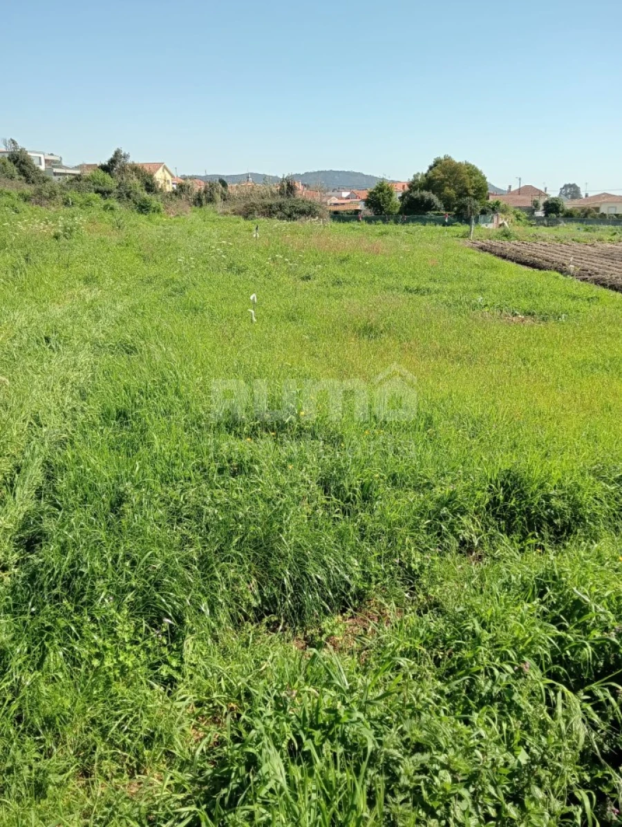 Terreno para Venda em Castelo do Neiva Foto 3