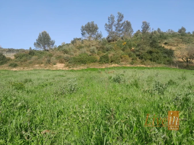 Terreno Agricola ou Rústico para Venda em Ribafria e Pereiro de Palhacana