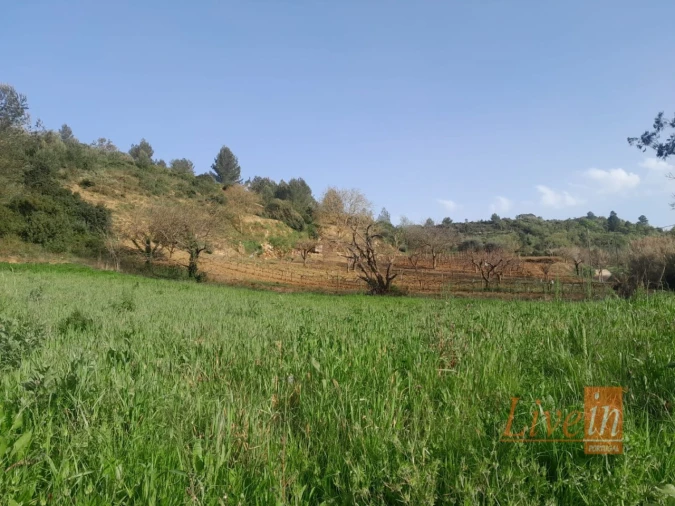 Terreno Agricola ou Rústico para Venda em Ribafria e Pereiro de Palhacana Foto 3
