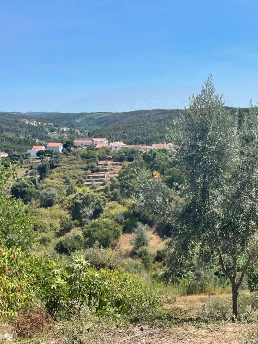 Terreno para Venda em Aldeia do Mato e Souto