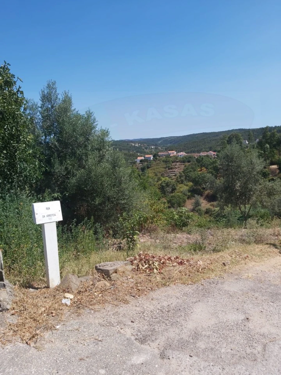 Terreno para Venda em Aldeia do Mato e Souto Foto 3